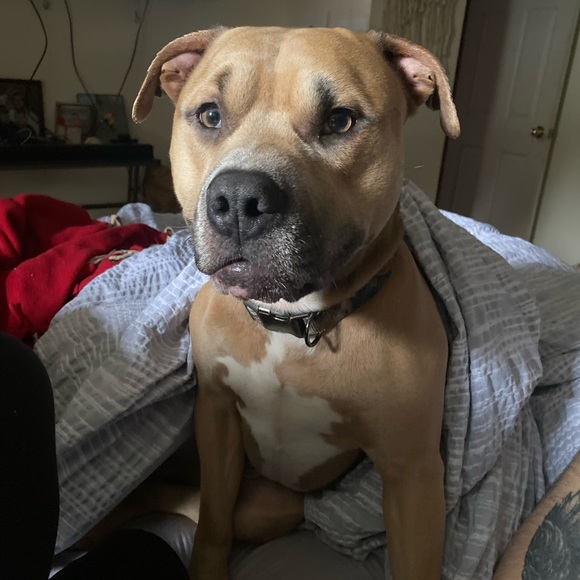 Meet me! - Picture 6 of 6